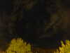 20240929211916-G0014974.JPG
