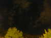 20240929212033-G0014979.JPG