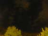 20240929212103-G0014981.JPG