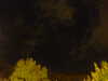 20240929212204-G0014985.JPG