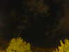 20240929212219-G0014986.JPG