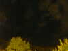 20240929212624-G0015002.JPG