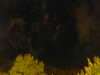 20240929213402-G0015032.JPG