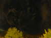 20240929213503-G0015036.JPG
