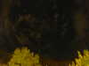20240929213548-G0015039.JPG