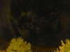 20240929213705-G0015044.JPG
