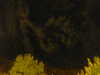 20240929213907-G0015052.JPG