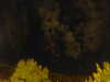 20240929214155-G0015063.JPG