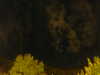 20240929214311-G0015068.JPG