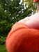20241002112834-P1100731.JPG