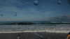 20241004105300-P1100936.JPG