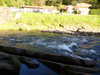 20241004163315-P1100977.JPG