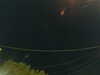 20241004202242-G0015710.JPG