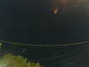 20241004202359-G0015716.JPG