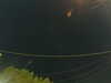 20241004202552-G0015724.JPG