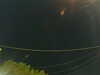 20241004202907-G0015737.JPG