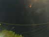 20241004203543-G0015763.JPG