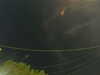 20241004203715-G0015769.JPG