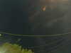 20241004203746-G0015771.JPG