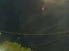 20241004203946-G0015779.JPG
