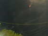 20241004204001-G0015780.JPG