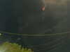 20241004204016-G0015781.JPG
