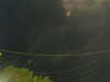 20241004204101-G0015784.JPG