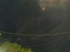 20241004204115-G0015785.JPG