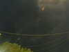 20241004204130-G0015786.JPG