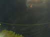 20241004204200-G0015788.JPG