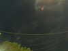 20241004204215-G0015789.JPG