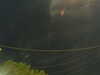 20241004204230-G0015790.JPG
