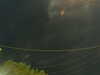 20241004204245-G0015791.JPG