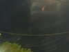 20241004204330-G0015794.JPG