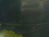 20241004204345-G0015795.JPG