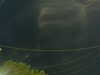 20241004204430-G0015798.JPG