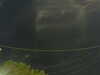 20241004204501-G0015800.JPG