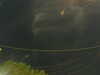 20241004204531-G0015802.JPG