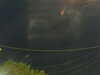 20241004204632-G0015806.JPG