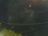 20241004204904-G0015816.JPG