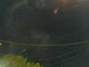20241004205151-G0015827.JPG