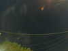 20241004205353-G0015835.JPG