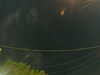 20241004205424-G0015837.JPG
