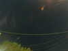 20241004205712-G0015848.JPG