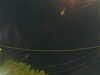 20241004205757-G0015851.JPG