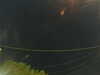 20241004205813-G0015852.JPG