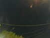 20241004205858-G0015855.JPG