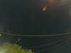 20241004205944-G0015858.JPG