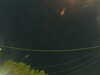 20241004205959-G0015859.JPG