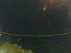 20241004210030-G0015861.JPG